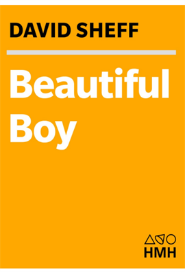 Beautiful Boy A Father's Journey Through His Son's Addiction